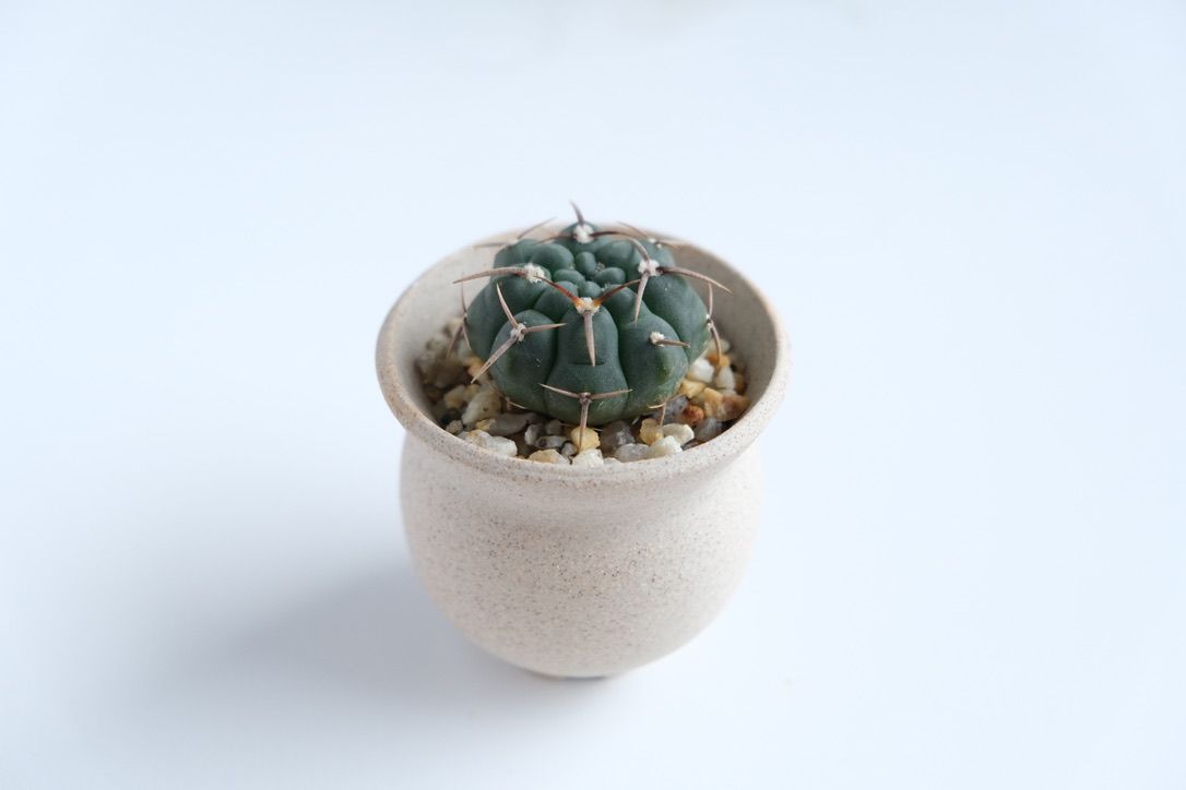 Creemaで見つけた植木鉢にバッテリーを植込み！