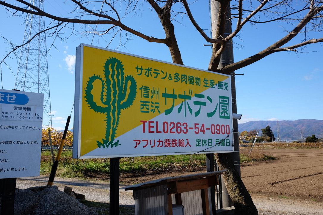 信州遠征① 西沢サボテン園で刺モノを入手！