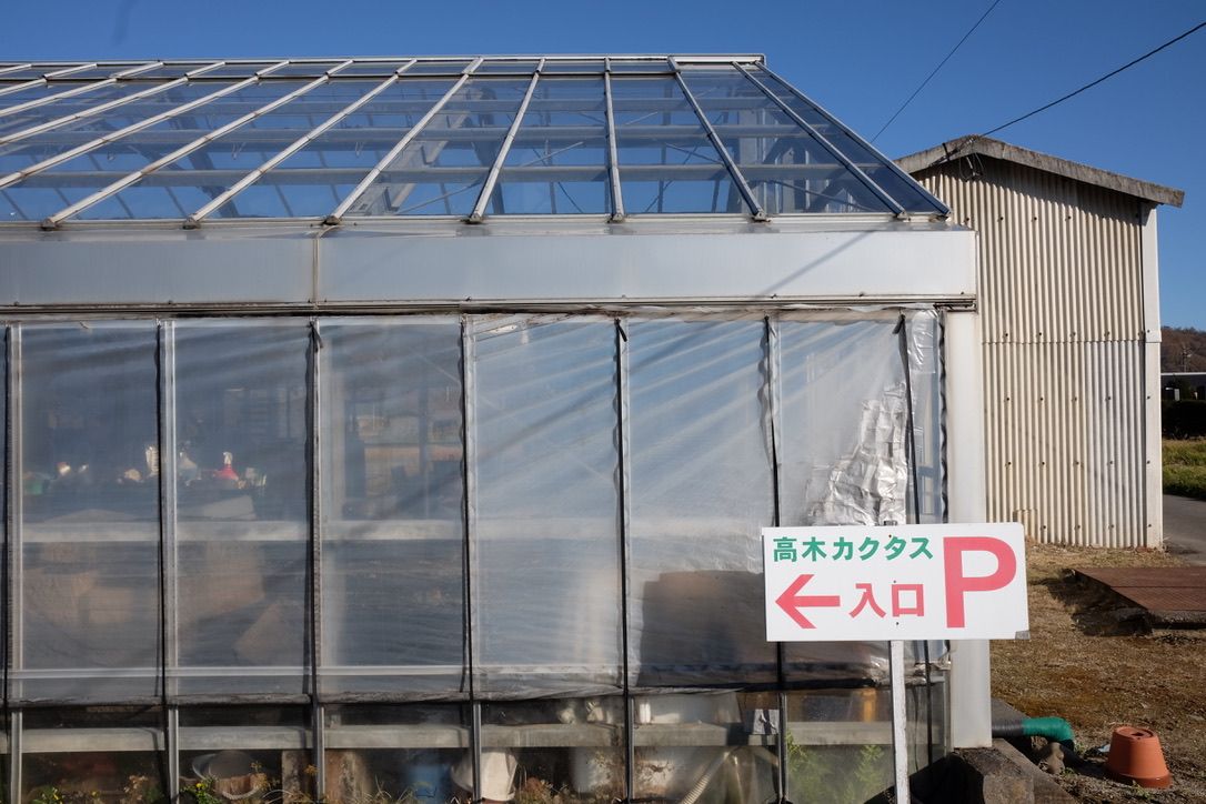 信州遠征② 高木カクタスで主殿玉を2株買い！