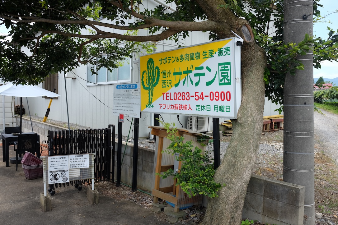 信州西沢サボテン園