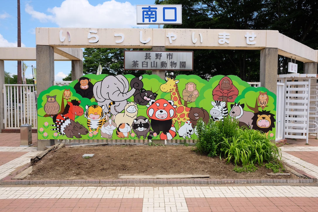 壮大な山景色を背に立つライオンを見に長野市茶臼山動物園へ！