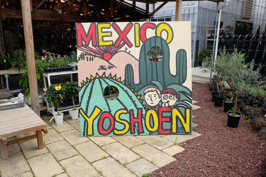 大阪にある盆栽園の養庄園にある多肉・サボテンハウスへ行ってみた！